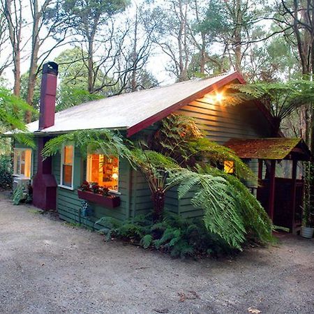 Cottage In The Forest Olinda Chambre photo